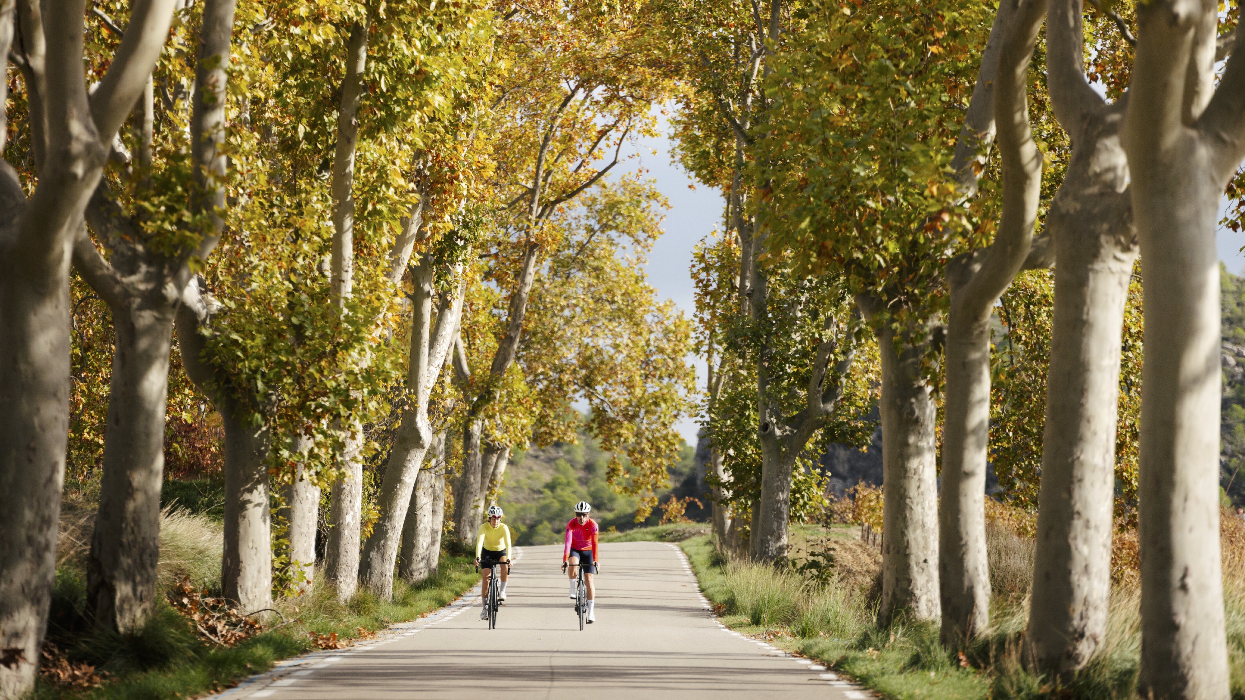 Cicloturisme al Penedès