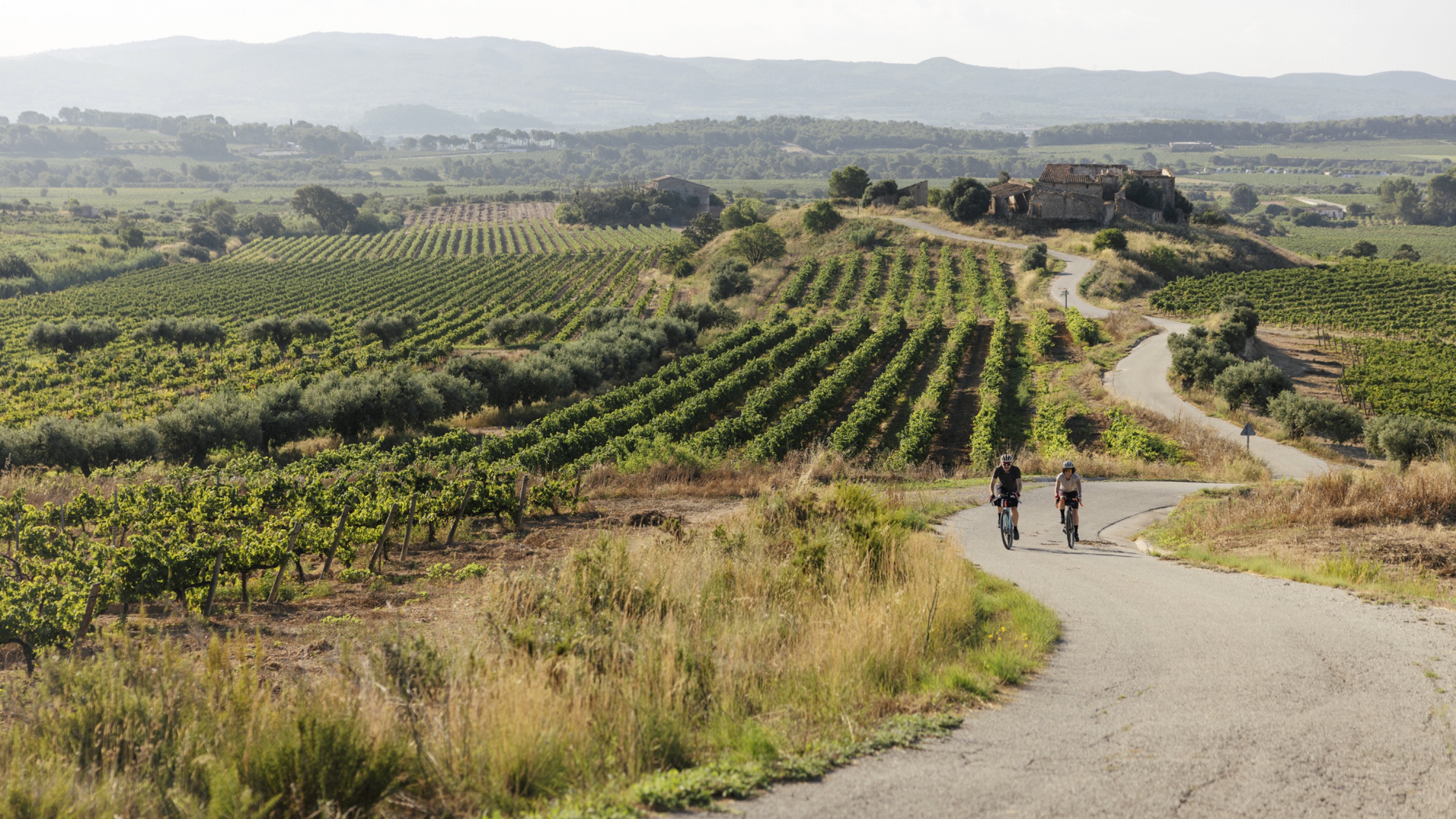 Cicloturisme al Penedès