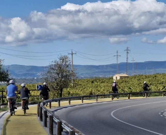 Carretera amb voral protegit
