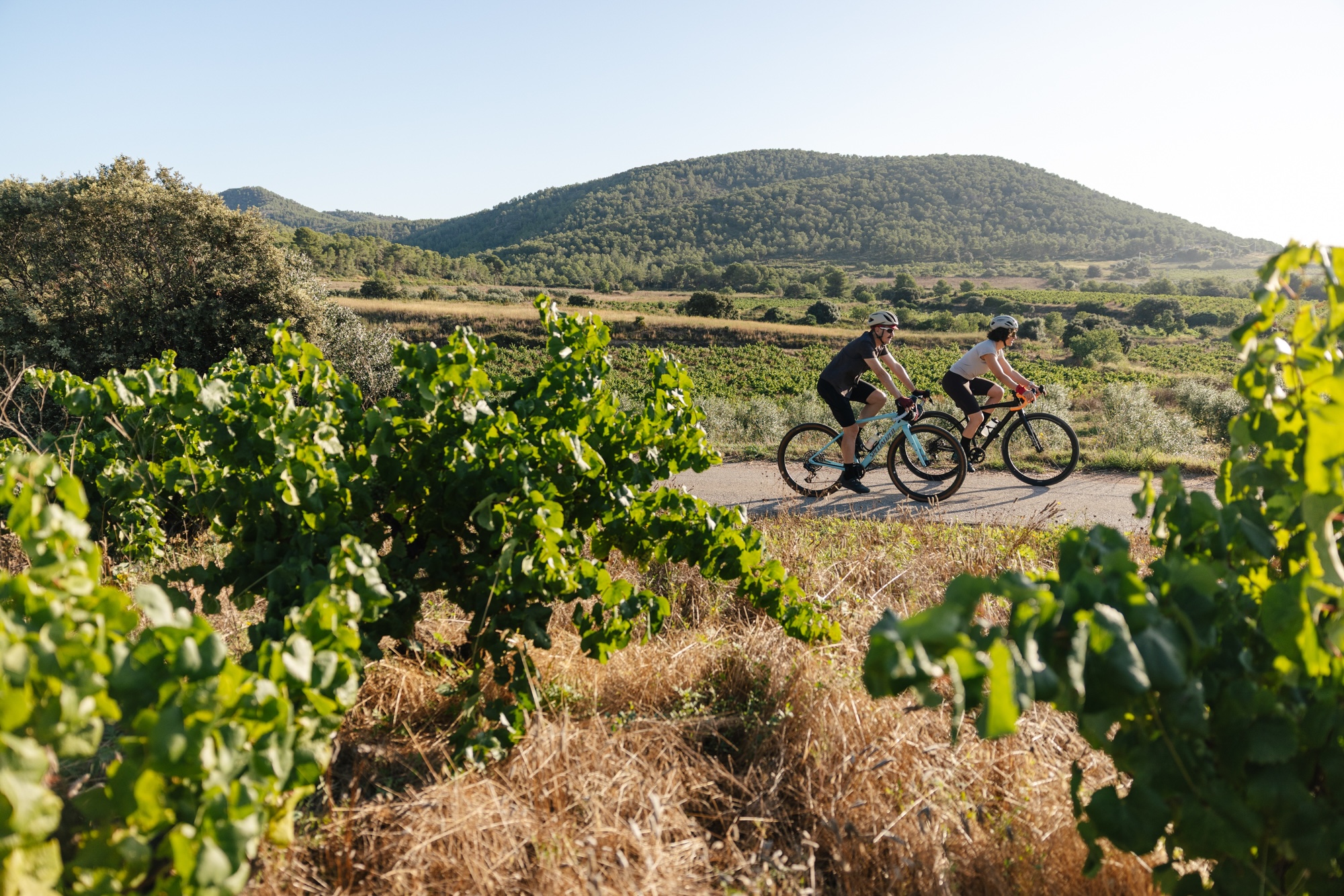 Bicicleta Gravel Penedès