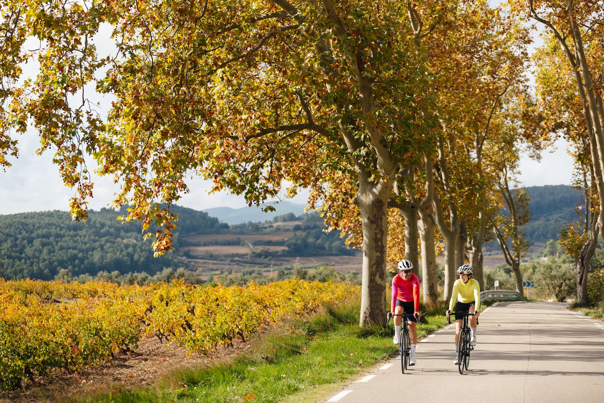 Cicloturisme al Penedès