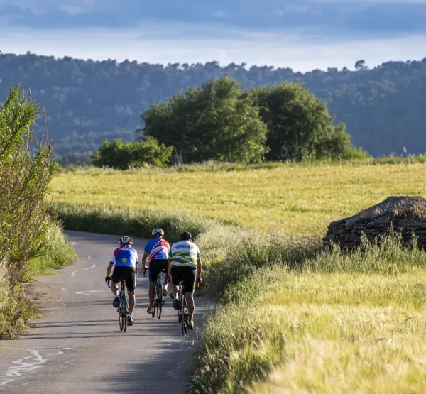 Cicloturisme al Penedès