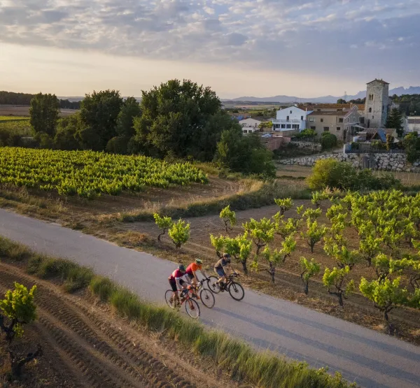 Cicloturisme al Penedès