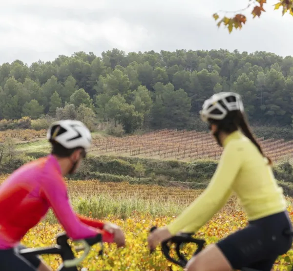Cicloturisme al Penedès